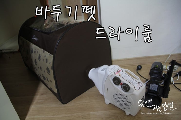  [강아지 드라이룸] 바두기 펫 드라이룸 사용기