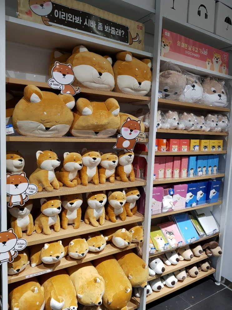  부평 데이트코스, 미니소코리아 MINISO 없는게 없네