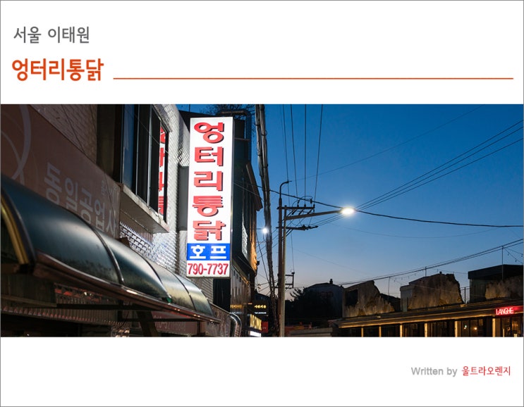  바삭함의 극치 경리단길 치킨 엉터리통닭
