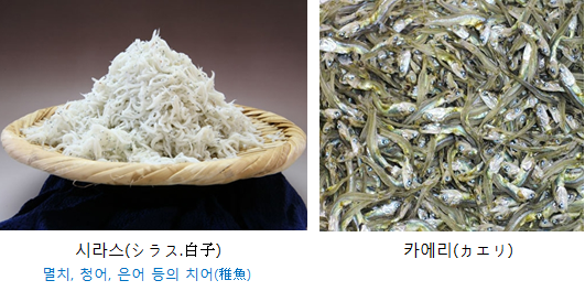 일본 어부 격언집 漁師の格言集 물고기의 습성과 이동 네이버 블로그