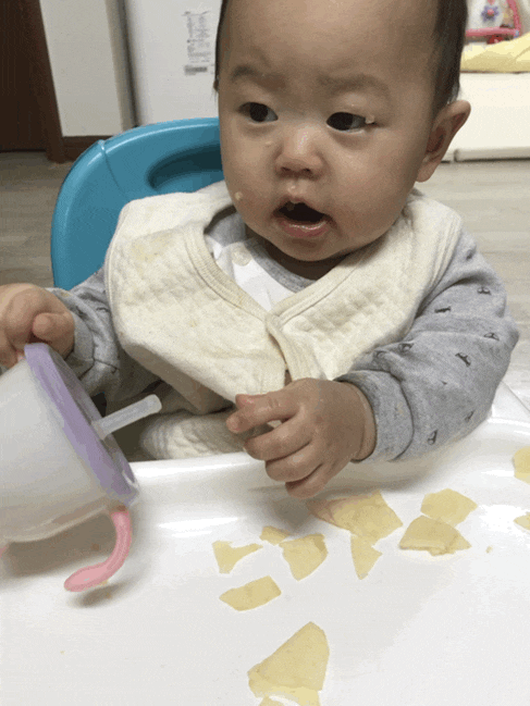  생후 239일 아이주도이유식 사과혼자먹기 /소고기시금치미음2일차