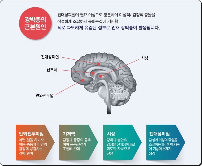 남양주 위례 강박증 치료-해아림한의원 : 네이버 블로그