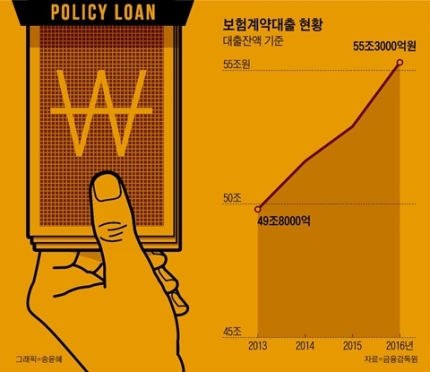 보험계약대출, 내 신용등급 묻지도 깎지도 않네 보험계약대출, 내 신용등급 묻지도 깎지도 않네