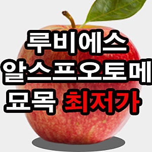 농원의모든것::)미니 사과 나무 묘목 할인 신품종 루비에스 묘목 ,알프스오토메 묘목 분양합....