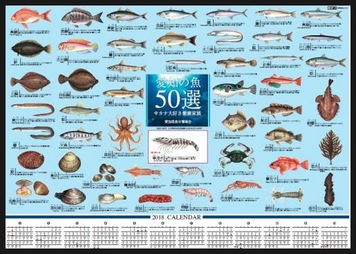 일본 달력 18年版 愛知の魚50選 カレンダー 아이치 의 물고기50선 캘린더 네이버 블로그