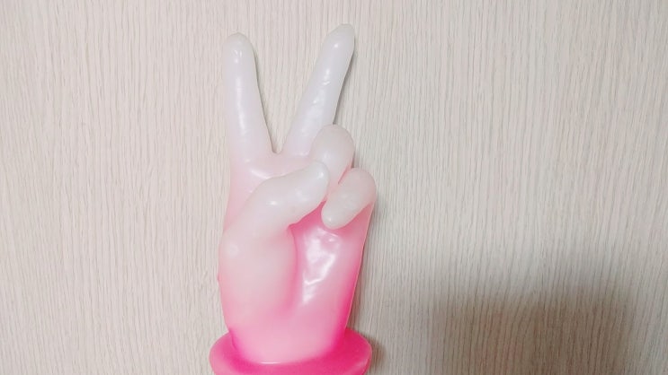  [매일매일 버리기]D+78_촛농손
