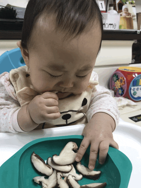  생후 241일 아이주도이유식 표고버섯 /소고기표고버섯미음1일차