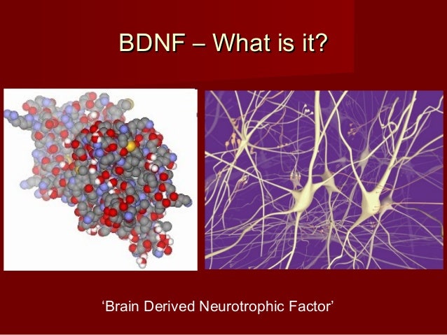 운동을 하면 기분이 좋아지는 이유 - BDNF (brain-derived nutrient factor) : 네이버 블로그