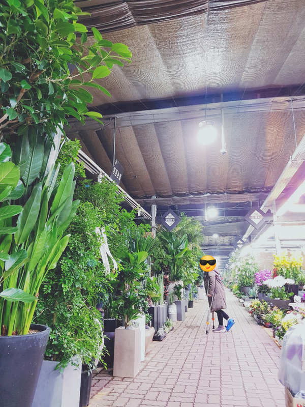 1월은 발깁스와 독감을 이겨낸 기특한 달!