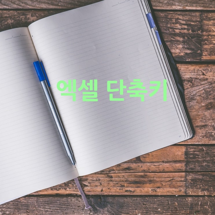 엑셀 단축키 유용한 몇가지