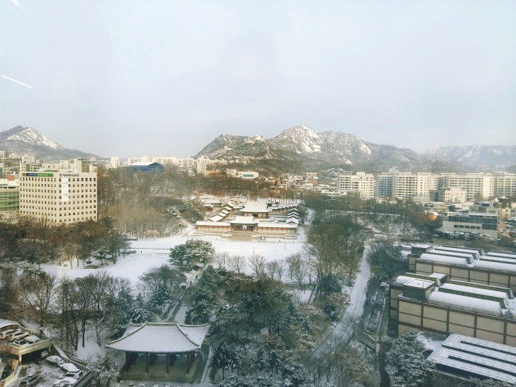  바깥 풍경
