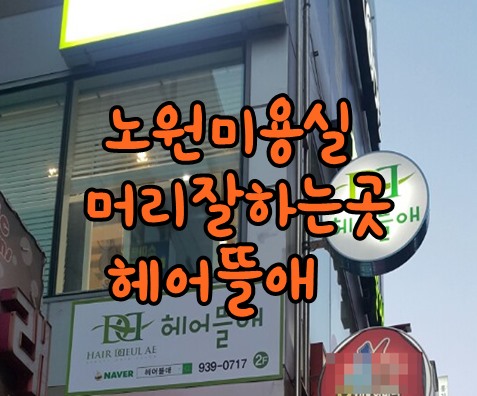 노원미용실 머리잘하는곳 헤어뜰애