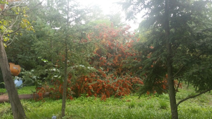  기청산 식물원