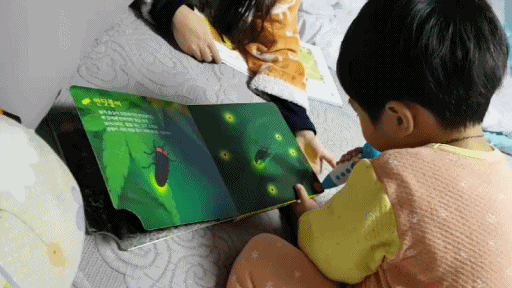 블루래빗자연관찰 깜깜한 밤이 좋아