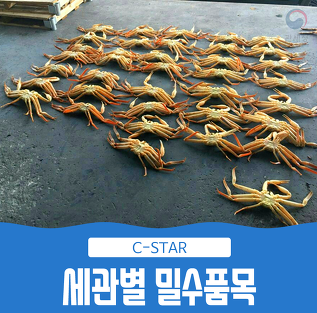전국 세관에서 발견된 <b>밀수</b>품들