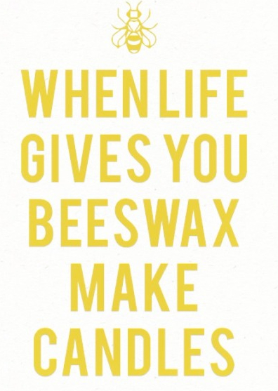  Experience joy 밀랍 벌꿀 가톨릭 캔들  워머 크라프트 코데즈 Craft Codes 100% Pure Beeswax Candle 시그니처 향초 클로버 화이트 정제