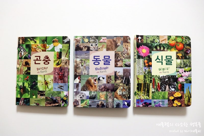 블로그 후기 사진