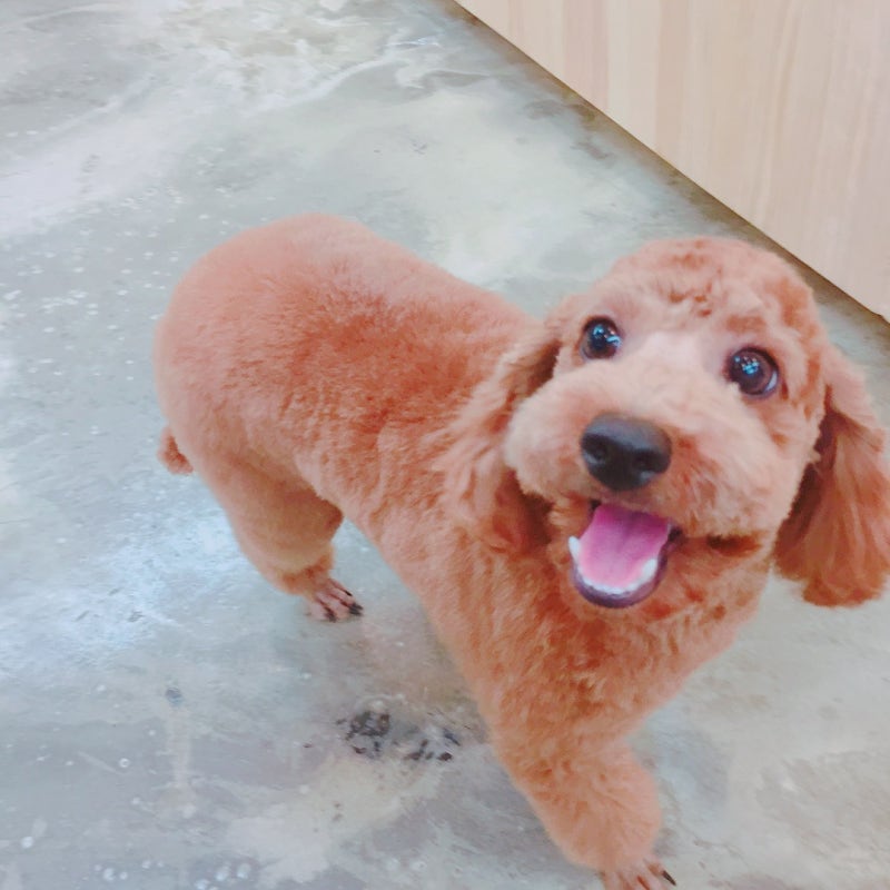 사진 6