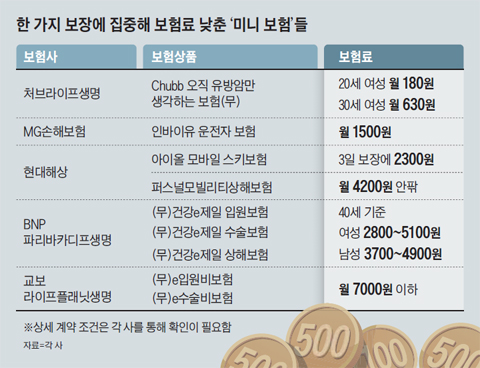 月180원으로 암 보장… '미니 보험' 몰려온다 月180원으로 암 보장… '미니 보험' 몰려온다