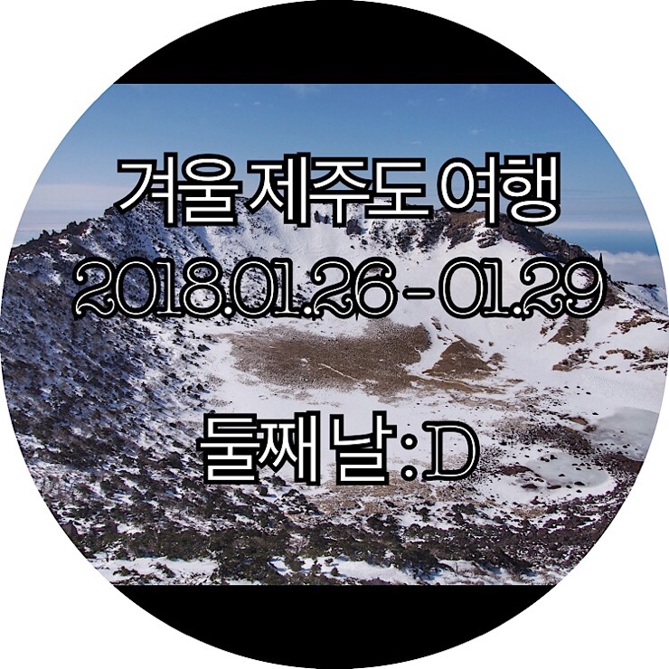  [제주도 3박 4일]급으로 가게된 제주도여행 하지만 누구보다 알차게 다녀온 겨울제주도여행 둘째 날 : )