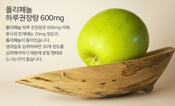  폴리페놀이 좋은 이유는 무엇일까?