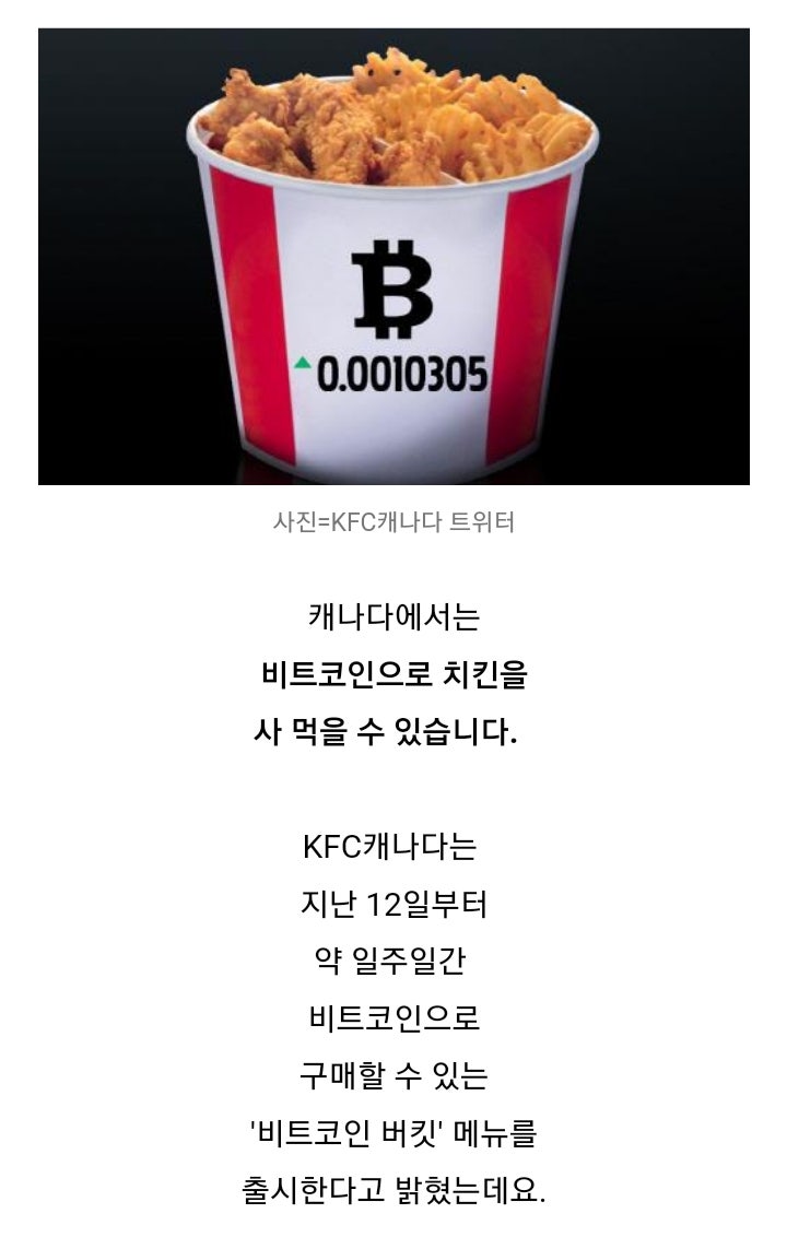 비트코인 으로 월급받고 치킨 시키는 나라 : 네이버 블로그