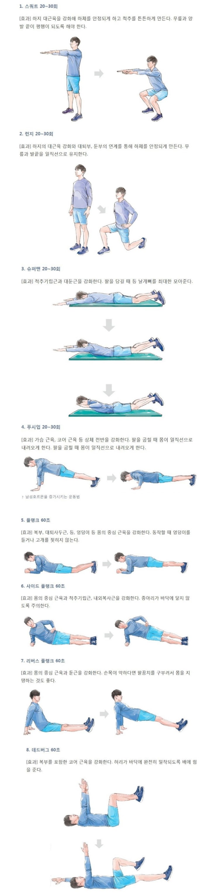  하루에 한세트씩 하면 좋다는 운동