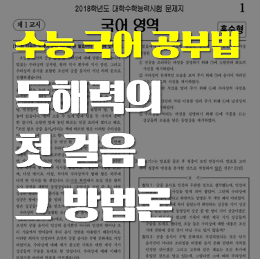  노베이스를 위한 자세한 수능 국어 공부법