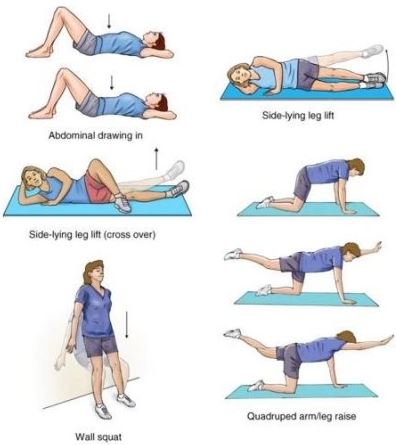 일자허리교정운동 스트레칭