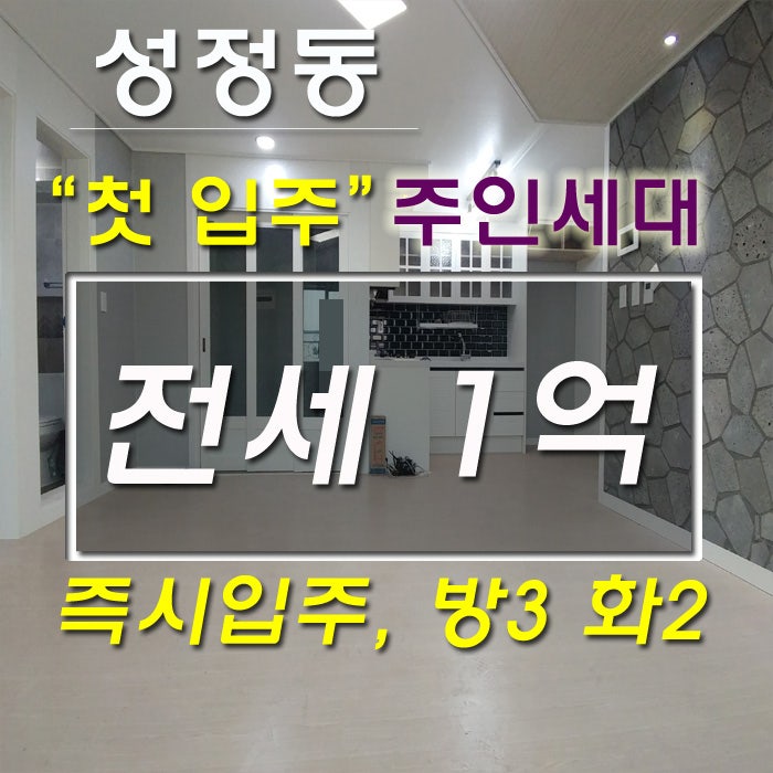 천안 주인세대 전세 1억, 성정동 신축 "첫 입주" 주인세대