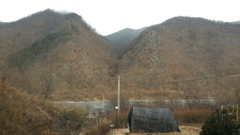 흐리고 가끔 눈, 탄 범랑냄비 닦기, 우족탕(2018-02-11)