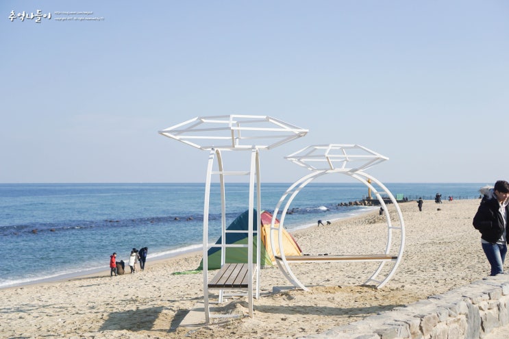 강원도 나들이 : 해돋이 여행 (강문해변, 정동진, 안목해변)
