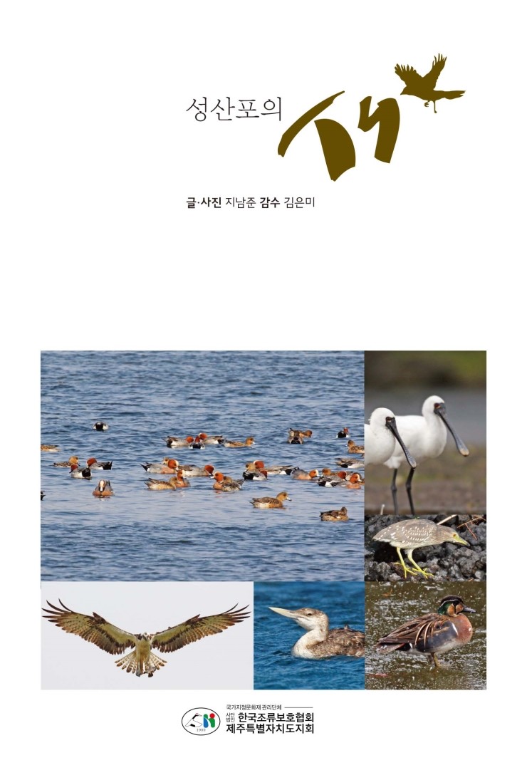  성산포의 새