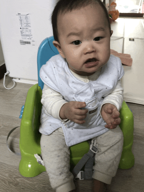  생후 251일 슈팅이시절/애호박브로콜리연두부죽 잘안먹는다