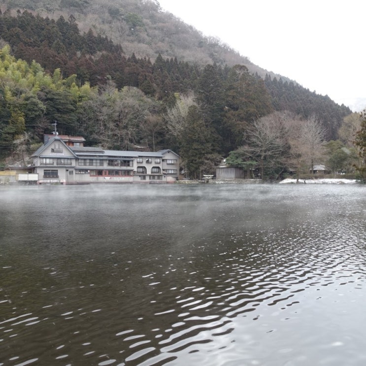 #180211 일본 오이타 여행 3일차 - 유후인 긴린코 호수, 텐소신사, 샤갈 미술관