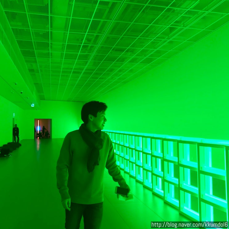  [전시] 댄 플래빈, 위대한 빛 (Dan Flavin, Light) 후기