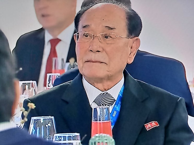 <b>김영남</b>