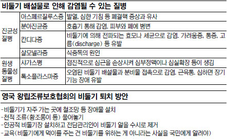  비둘기 배설물 청소 비둘기 퇴치의 중요성!