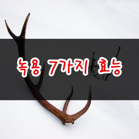 녹용 효능 먹는 법을 알아보겠습니다. 6