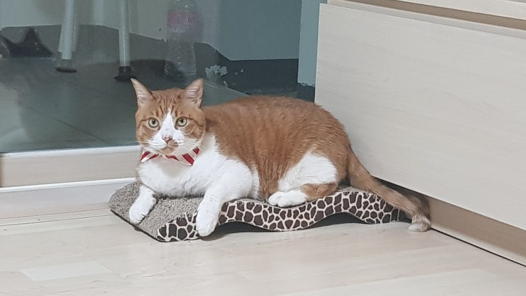  1월 근황은 지났고 2월중순이네?