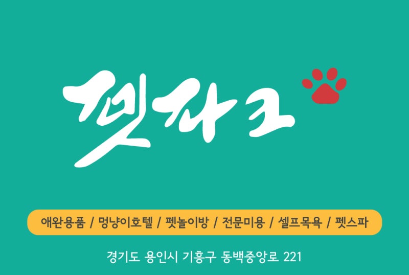 사진 5