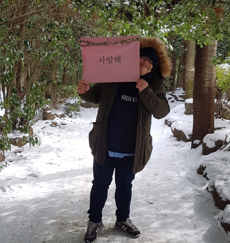  다시, 제주 #7 : 동백꽃 필 무렵