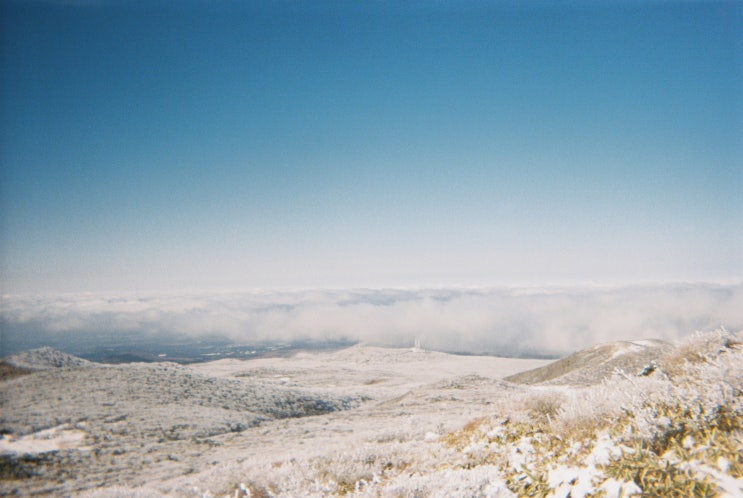  film