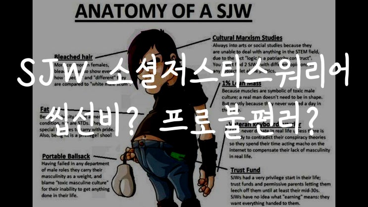  [1MIN 회화영어] 소셜저스티스 워리어 Social Justice Warrior SJW 뜻은? 원어민이 자주 사용하는 약어