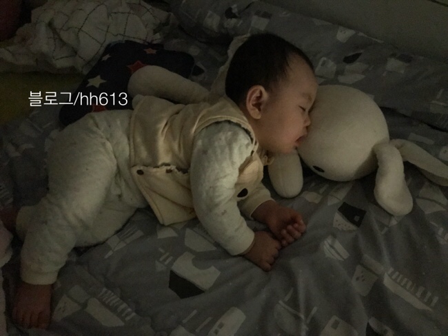  생후 254일 문짝에 붙은 테이프를 인식함/소고기표고아욱죽