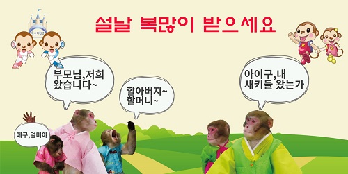  행복한 설연휴 보내세요~~!!