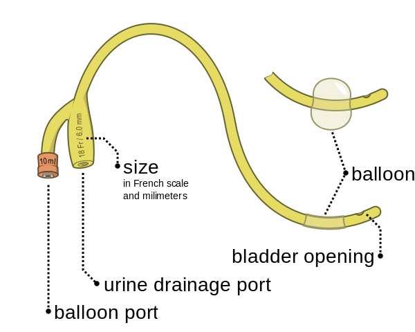 Urethral Catheterization Nelaton Foley Catheter male-catheters-types