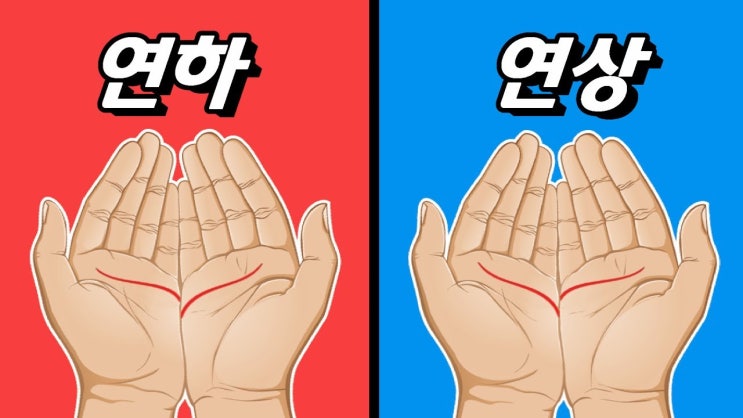  남자/여자 손금 보는법! 미래는 아내의 외모는?