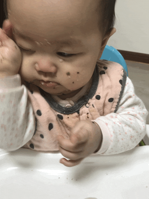  생후 258일 오랜만에 사과과즙망