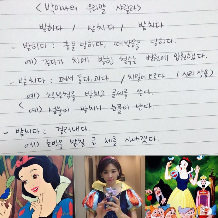  박세정 아나운서 우리말 공부 -받히다 / 받치다 / 밭치다